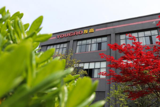 800 mm sistema di X traverse stabile lineare con armadio per la codifica della data 4