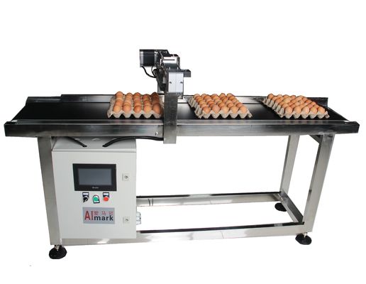 Alta velocità automatica motore a gradini del trasportatore intermittente Egg Coding Conveyor corrispondente con stampante a getto d'inchiostro
