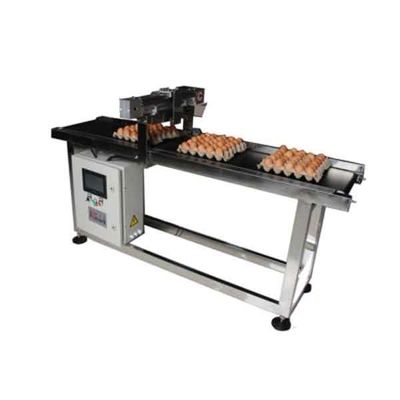 Display Screen Egg Coding Conveyor 20m/Min Acciaio inossidabile